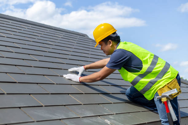 Best Roof Maintenance and Cleaning  in Laingsburg, MI