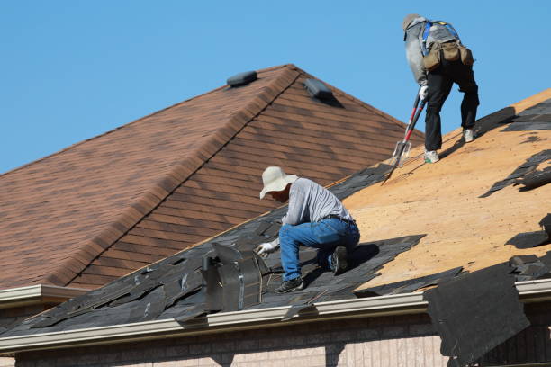 Best Metal Roofing Installation  in Laingsburg, MI