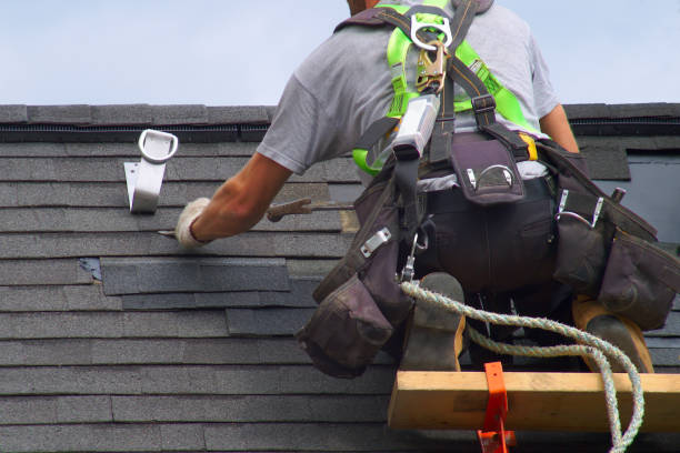Best Roof Coating and Sealing  in Laingsburg, MI