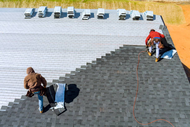Best Roof Insulation Installation  in Laingsburg, MI