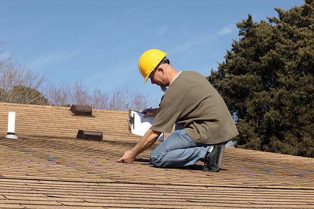 Best Roof Installation  in Laingsburg, MI