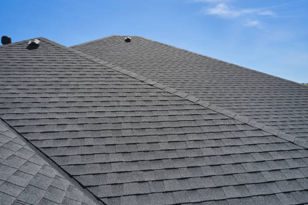 Best Gutter Installation and Repair  in Laingsburg, MI